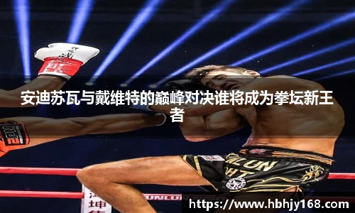 安迪苏瓦与戴维特的巅峰对决谁将成为拳坛新王者
