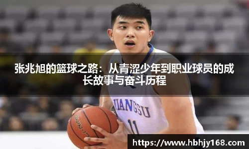 星空·综合体育官网